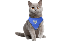 Reflective Cat Harness Vest with Matching Leash