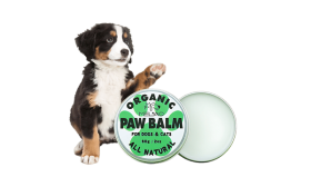 Organic Paw Balm for Dogs and Cats