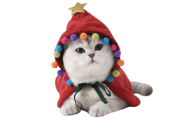 Christmas Cat Costume Cape – Festive Cloak Outfit for Pets